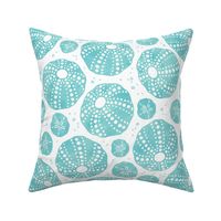 Sea Urchin Shells AQUA LARGE SCALE