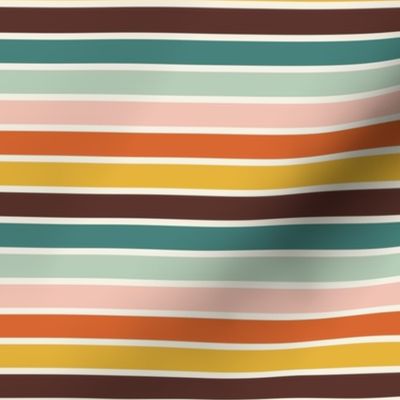 Mod Desert Garden Stripe