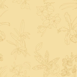 Orchid drawings in soft beige