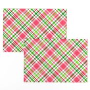 Bigger Scale Watermelon Plaid