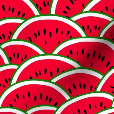 Bigger Scale Red Watermelon Slices