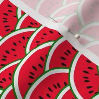 Smaller Scale Red Watermelon Slices