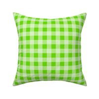 Bigger Scale Spring Green Watermelon Lime Gingham Checker