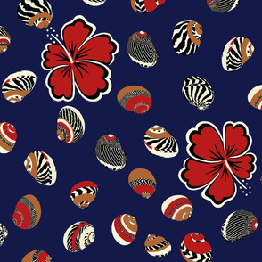 Pacific shells