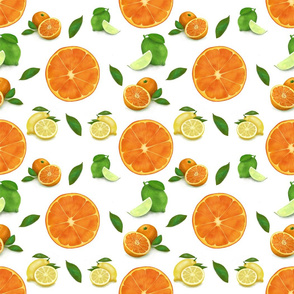 Citrus Spritz : Citrus fruit