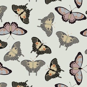 Butterflies 