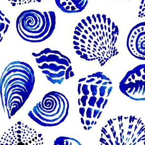 blue seashells mid scale