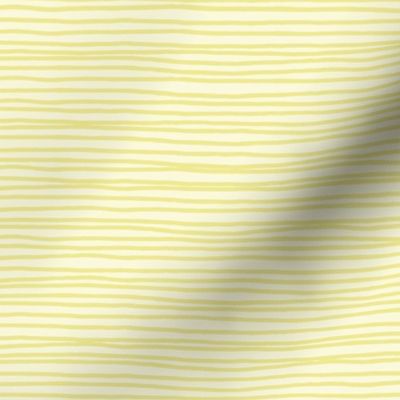 daisy hand drawn stripe