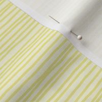 daisy hand drawn stripe