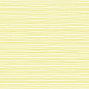 daisy hand drawn stripe