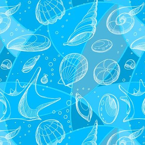 Blue Sketchy Shells