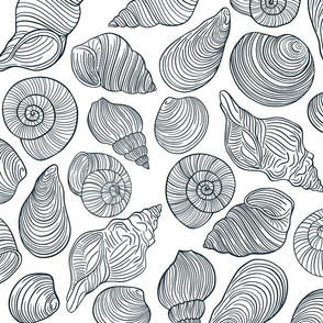 Black and white shells