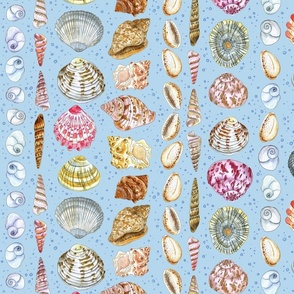 F21 002'1'1 AL - Seashells Watercolour