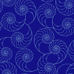 Nautilus shells navy