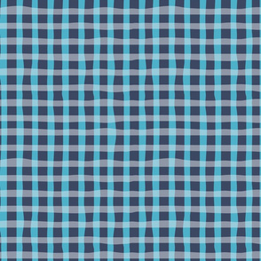 Hand Drawn Plaid Navy 