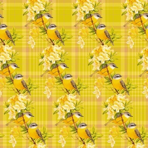 Birds On Plaids , Small