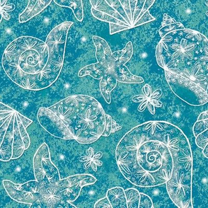 Flower Seashells on Teal