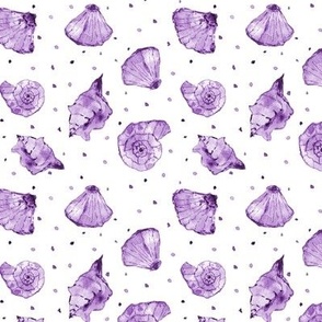 Amethyst seashells - watercolor purple summer ocean vibes a241-10
