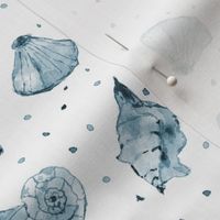 Denim blue seashells - watercolor summer ocean vibes a241
