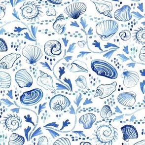 blue shells / white  small scale