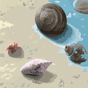 Seashells 2