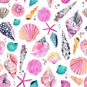 Seashell seamless pattern Summer ocean print with clam shells oysters  scallops and shellfish Marine mollusk seashells vector wallpaper  Stock  vector  Colourbox