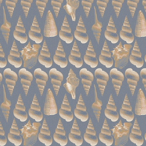 conch_shells_grey_tawny_sand