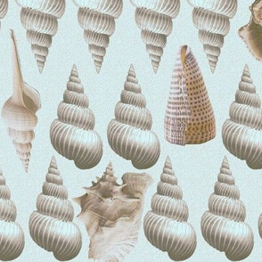 conch_shells_aqua_mint