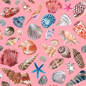 Seashell Treasures-Pink