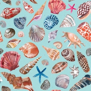 Seashell Treasures-Aqua