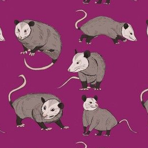 possums Pink small