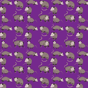 possums purple small