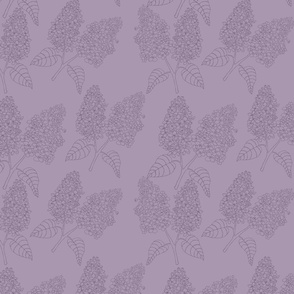 hyacinths - purple