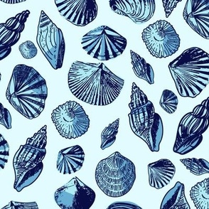 Blue seashells
