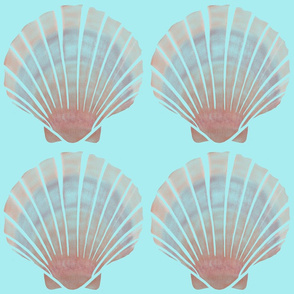 Seashell Pattern Aqua BG