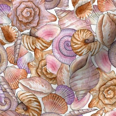 watercolor seashells on the beach