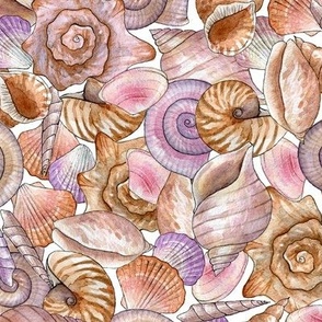 watercolor seashells on the beach
