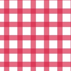 Philly Loves Gingham Red