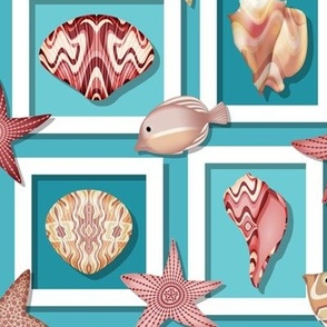 Shadow Box Seashells // Coastal Beach House Decor