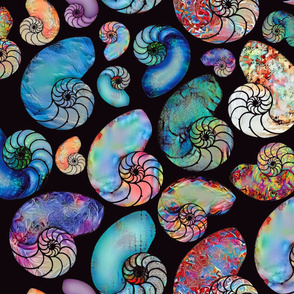 Batik Style Chambered Nautiluses