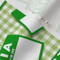 Scattered Hungarian 'hello my name is' nametags - green on gingham