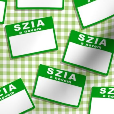 Scattered Hungarian 'hello my name is' nametags - green on gingham