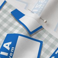 Scattered Hungarian 'hello my name is' nametags - blue on gingham