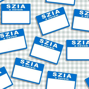 Scattered Hungarian 'hello my name is' nametags - blue on gingham