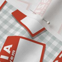 Scattered Hungarian 'hello my name is' nametags - red on grey gingham