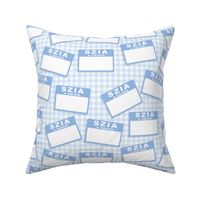 Scattered Hungarian 'hello my name is' nametags -  light blue on baby blue gingham