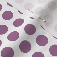 1" dots: wisteria