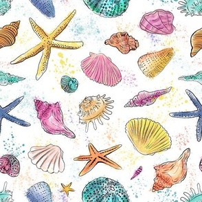 Seashells watercolor