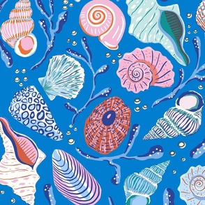 seashells/bright blue/jumbo