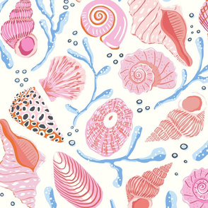 seashells/pink/jumbo